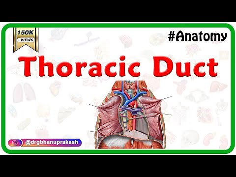 Thoracic duct - Anatomy, Course ,Relations ,Tributaries,and Clinical Significance