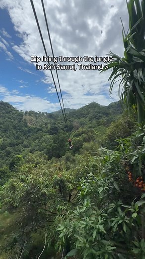 Ziplining Through Koh Samui Jungle, Thailand