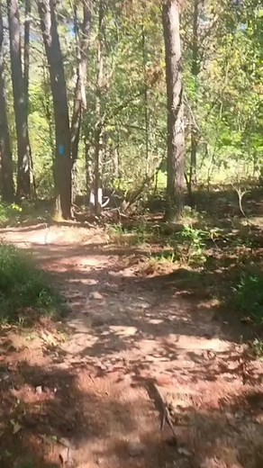 312K views · 10K reactions | Remind me, dear Lord, of where You brought me from and what I could have been. ✨ Steven Wood Music If you enjoy good music and God’s beautiful work, feel free to share and follow.  #FaithInFocus #MusicWithMeaning #GodsWork #CreativeLegacy #WorshipVibes | John Michael Hazelwood | Facebook