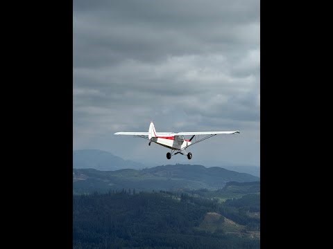 PNW Super Cub Grass Strips & Big Tires