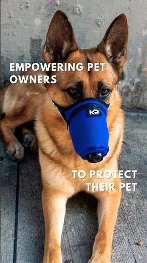 Dog Air Filter Face Mask for Toxic Volcano Ash in Alaska