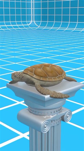 What Really Happens When a Bullet Hits a Turtle Shell 🤔 #shorts