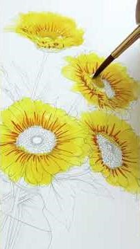 Willow Wolfe's Watercolour Workbook