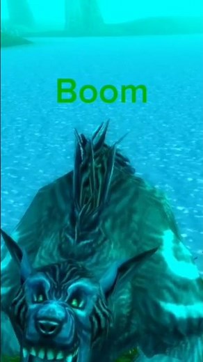 How i trun into a bear in TBC Anniversary Druid #worldofwarcraft #nightelf