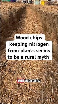 Wood chips keeping nitrogen from plants seems to be a rural myth!