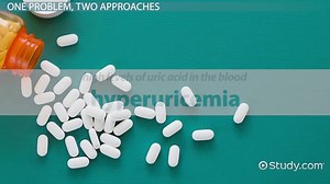 Probenecid vs. Allopurinol | Similarities & Differences