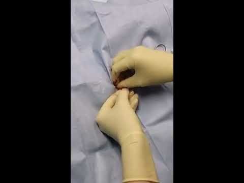 Cat spay, autoligation