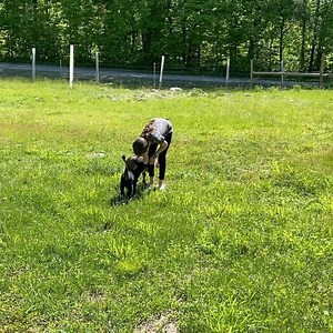 The babies just love Olivia!!! She is having so much fun with them 😀 #babygoats #homesteadinglife #lumnahacres | Lumnah Acres