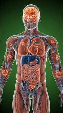 What Happens Inside Your Body When You Eat an Apple? 🍎🍏🍊 (Science Explained)