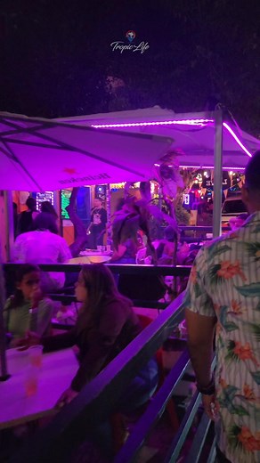2.2K views · 47 reactions | Night Life in PUERTO RICO. A local favorite...La Placita. #puertorico #nightlife #travelguide | Tropic Life Puerto Rico | Facebook