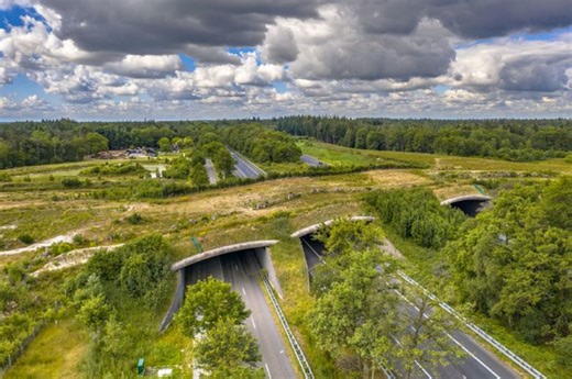 ‘World’s Largest’ Wildlife Bridge Reaches a Construction Milestone - Goodnet