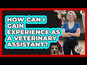 How Can I Gain Experience As A Veterinary Assistant?