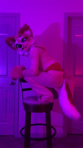 Cute Dog Relaxing on a Chair at Home