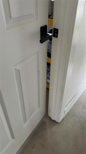 Adorable Ducklings Crying for Outdoor Fun