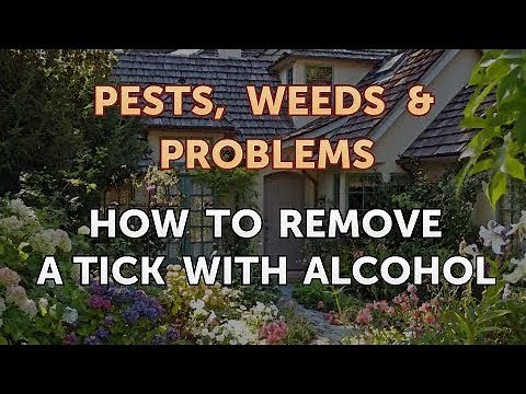 How to Remove a Tick With Alcohol