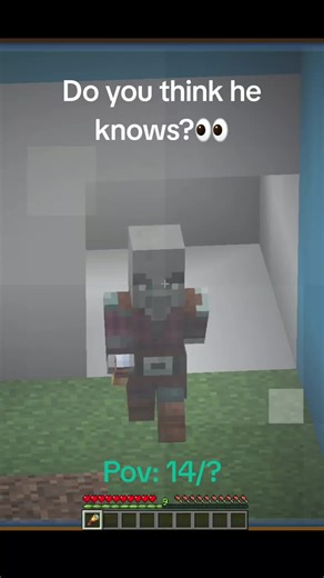 Does He Know? A Minecraft Perspective