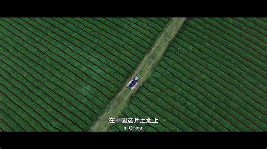 🎉🧧Spring Festival, or Chinese New Year, is the most important festival in China. 🌍🏆In December 2024, it was officially inscribed on UNESCO's Representative List of the Intangible Cultural Heritage of Humanity, recognizing it as a cultural treasure shared globally. 📺🎊First aired in 1983, China's CCTV Spring Festival Gala has become the most watched national TV show recognized by Guinness World Records. On Chinese New Year's Eve, families across China gather around the television to watch th