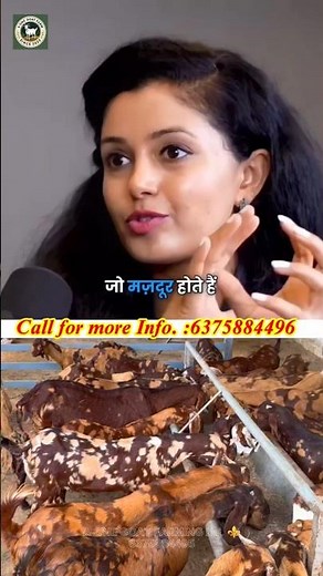 Think big only then you will become big..!! Call📱 6375884496 Pan India supply🚚🚀 #goatfarming #sho...