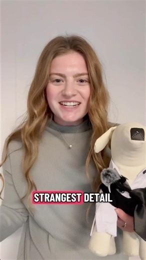 Question for Pet Groomers - Client Profiles