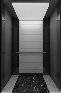 [Hot Item] FUJI Small Home Lift for Sale