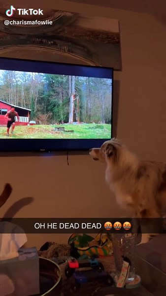 Hilarious Moments of Hoa Hoa Season