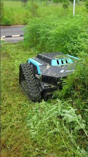 High Torque Lawn Mower for Professionals Optimized for High Workload Projects