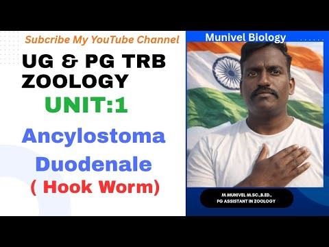 ANCYLOSTOMA DUODENALE (HOOK WORM ) |UNIT 1| UGTRB ZOOLOGY | PGTRB ZOOLOGY | UG TRB ZOOLOGY