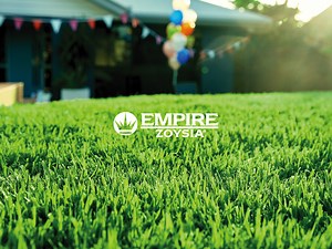 Empire™ Zoysia Grass | Lawn Guide | myhomeTURF
