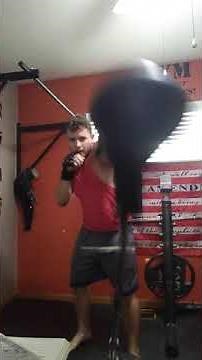 Everlast Reflex Bag Honest Review