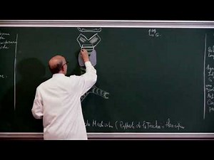 COURS ANATOMIE 11: Appareil Respiratoire Partie 2