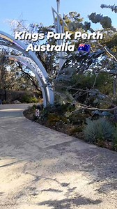 Kings Park, Perth, Western Australia  #perth #australia #viral #followersreelsfypシ゚viralシfypシ゚viralシalシ #srilanka | Perth Umathuwa-Australia | Facebook