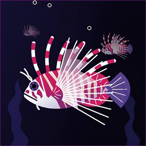 4.5M views · 6.1K reactions | Why underwater robots are vacuuming up lionfish. | Verge Science | Facebook