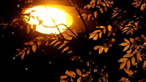 Particles, Beautiful Wallpaper