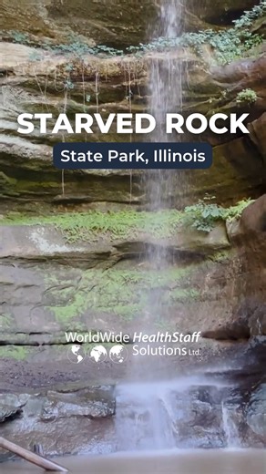 8.4K views | Thinking of becoming a Cardiac RN in Illinois? With...