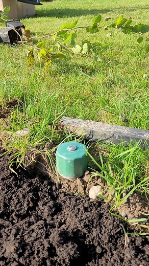 Device against moles | Crafty Panda