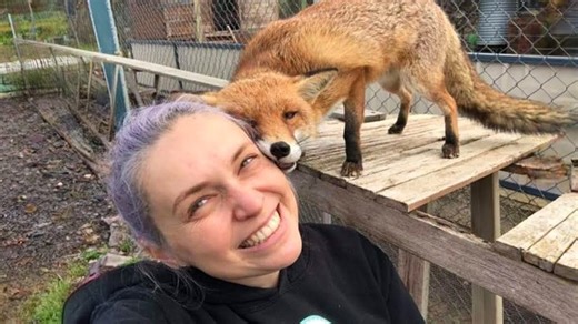 Exploring cute relationships between animals and humans