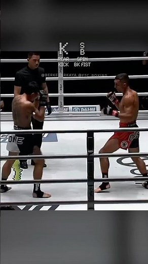 The Most LETHAL Knockout Combo in Combat Sports…