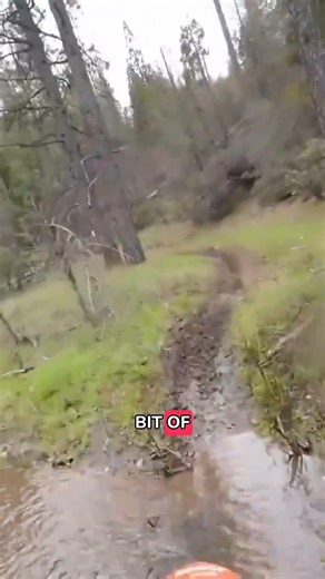 Insane creek crossings and jungle singletrack #dirtking #enduro #shorts #motorcycle
