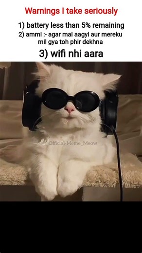 Warnings#tweetreels #relatable #cat #catmemes #shorts #shortsfeed#viral#viralshorts #fypシ゚viral #fyp