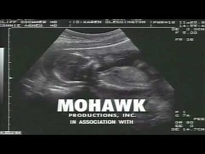 (REUPLOAD) Mohawk Productions (fart variant)/Warner Bros. Television (1997)