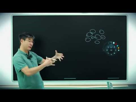 Theory of Reality - Prof. Jiang Xueqin