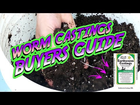 What You NEED To KNOW BEFORE BUYING WORM CASTINGS