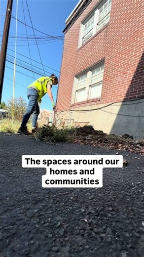 Start a community garden project