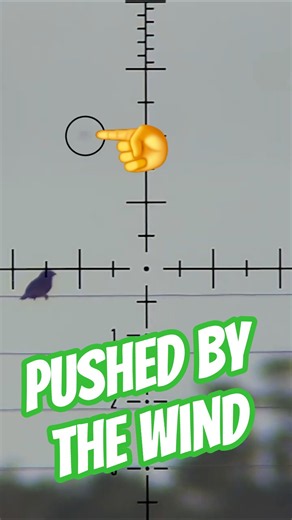 Pushed by the wind | Long-Range Pellet Accuracy #fxairguns #elementoptics