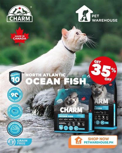 Give your cat the nutrition they naturally crave! 🐈 Charm Cat Food makes the choice simple with a premium, grain-free diet. Every bag is guaranteed to have 90% protein from fresh meat sources for a balanced nutrition and optimal health! 💪 It's the promise made to their wild nature. Explore all healthy flavors and get 35% OFF at petwarehouse.ph today! 🩵 #PetWarehousePH #CharmCatFood #grainfree #catfood | Pet Warehouse Philippines
