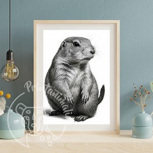 Black-tailed Prairie Dog Portrait | Black and White Portrait Wall Art | High Quality Digital Download - Etsy