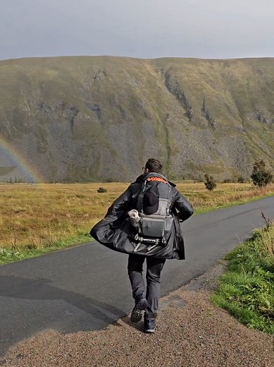Lustige Katzenvideos: Wo läuft Papi hin?