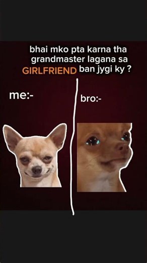 #funny dog#funny reel # funcho fact#views ksa lay ..