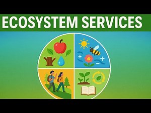 Ecosystem Services Explained |Provisioning, Regulating, Cultural & Supporting| Environmental Science