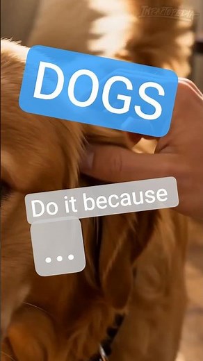 The Secret Dog Psychology: Fun Facts | Animal Facts #animals